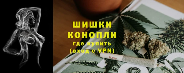 твердый Ельня