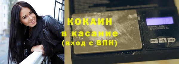 твердый Ельня