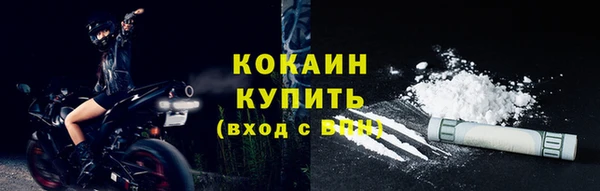 твердый Ельня