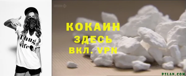 твердый Ельня