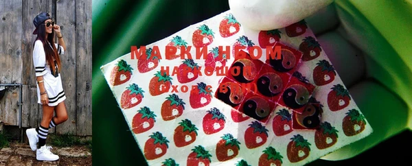твердый Ельня