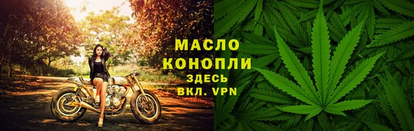 твердый Ельня
