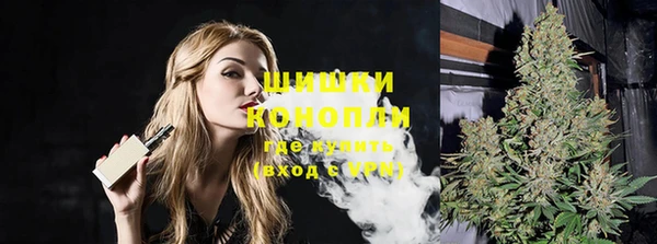 твердый Ельня