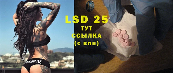 твердый Ельня