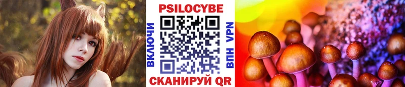 гидра ссылка Нижняя Салда нарко площадка телеграм как найти наркотики Галлюциногенные грибы Psilocybe